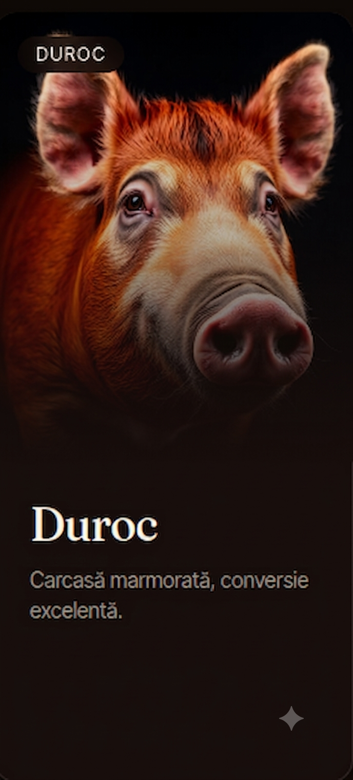 Material Seminal Duroc